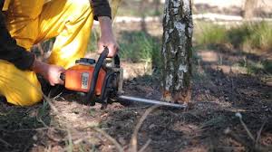 Best Lawn Watering Services  in Selma, CA